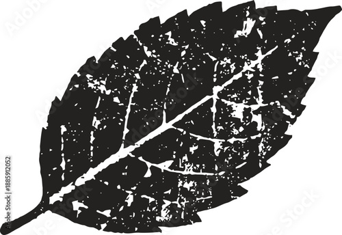 Grunge textured black leaf silhouette with distressed details and visible veins
