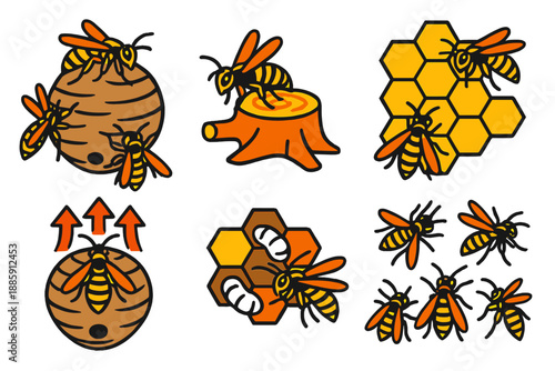 Vivid Wasp Nest Construction. Isometric vector illustration set Social wasp nest construction: colony at work, papermaking from