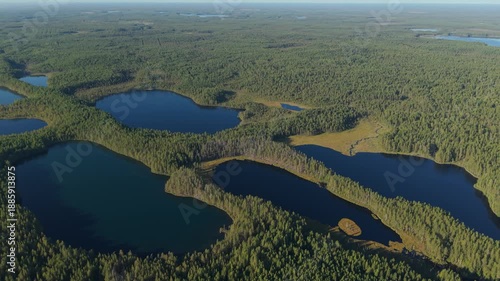 Aerial view of winding dark blue lakes surrounded by dense green forest, forming irregular shorelines and peninsulas in a remote natural landscape under clear sky, captured from high altitude in