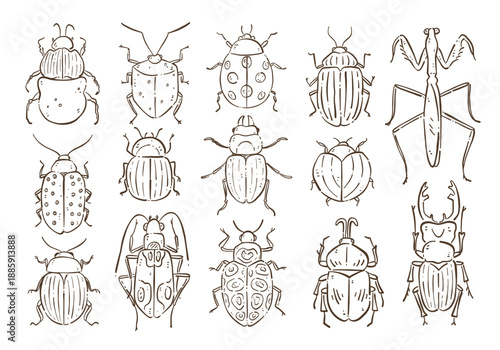 Cute beetles and other insects. Hand-drawn doodle clip art set isolated on white backgroun. Fourteen designs. Vector illustration.