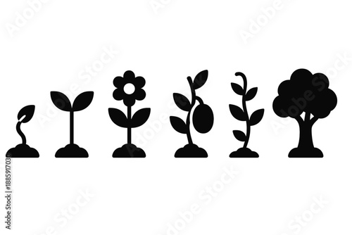 Plant Growth Icons. Solid style icons of plant growth stages: seed sprout, sapling leaves, flowering plant, fruiting vine,
