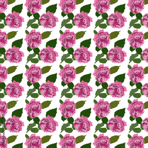 Pattern con corolle di rose e foglie