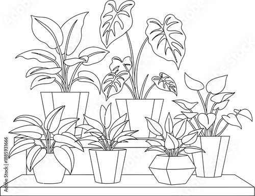 Outline drawing showcasing a collection of assorted potted houseplants arranged on a shelf perfect for coloring book pages or home decor inspiration designs.