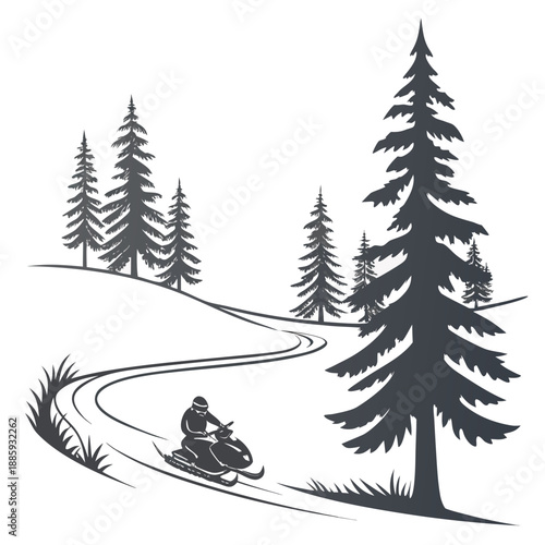 Snowmobile trails through pine forest