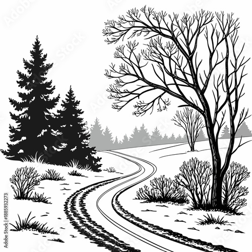 Winter trail through snowy forest