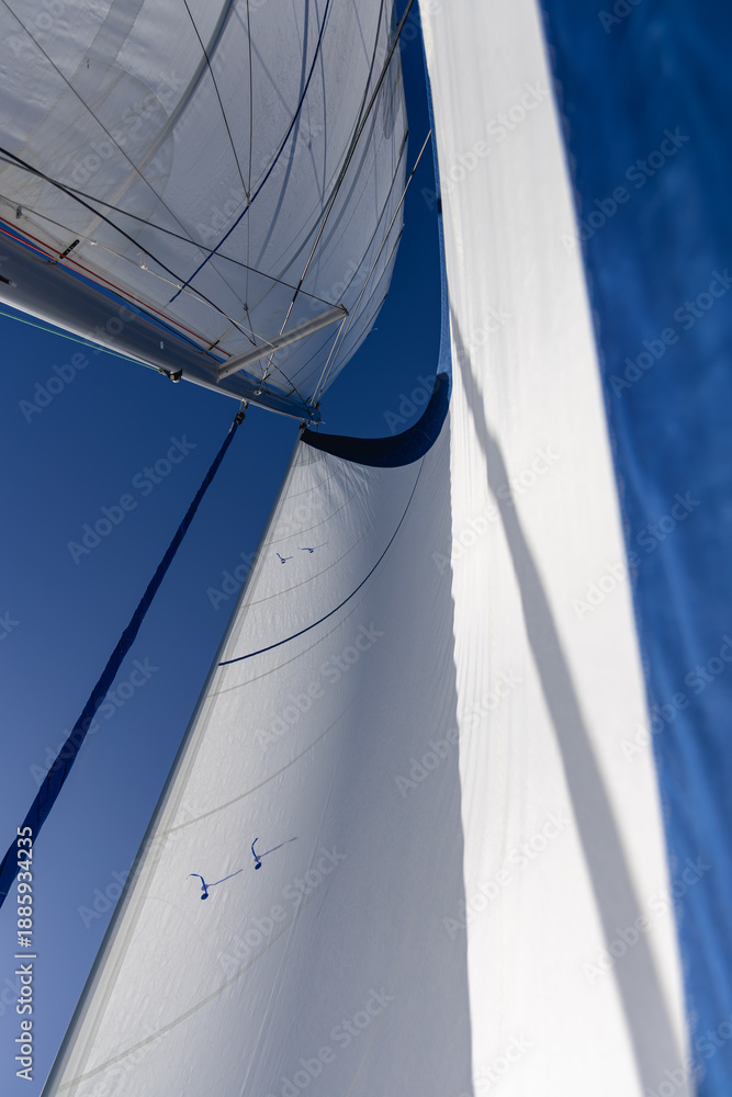 Fototapeta premium Une voile de bateau gonflée vue du dessous.