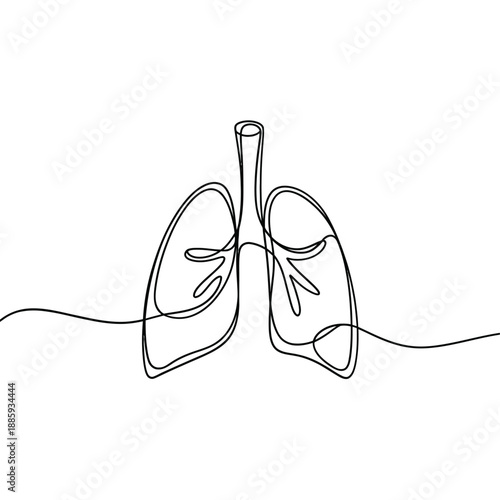 Minimalist line drawing of human lungs an anatomical illustration in black and white