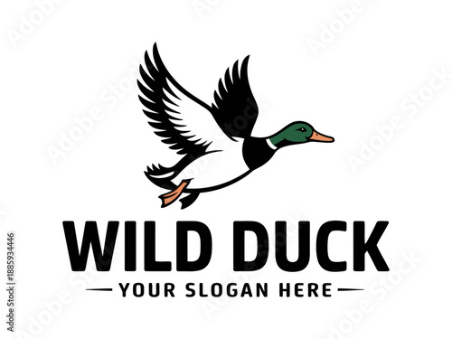 Vibrant wild duck logo with dynamic flying mallard