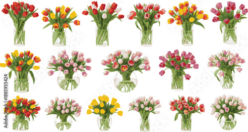 Colorful Tulip Bouquets in Vases Set Illustration. Spring Flower Collection Vector Graphic for Decoration and Design.