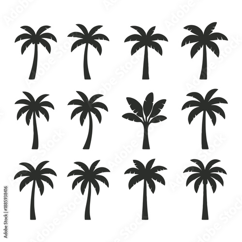 Collection of black palm tree silhouettes on white background