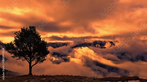 Fiery Orange Sunset over Mountain Peaks with Silhouette of Lone Tree in Foreground Alps Golden Hour