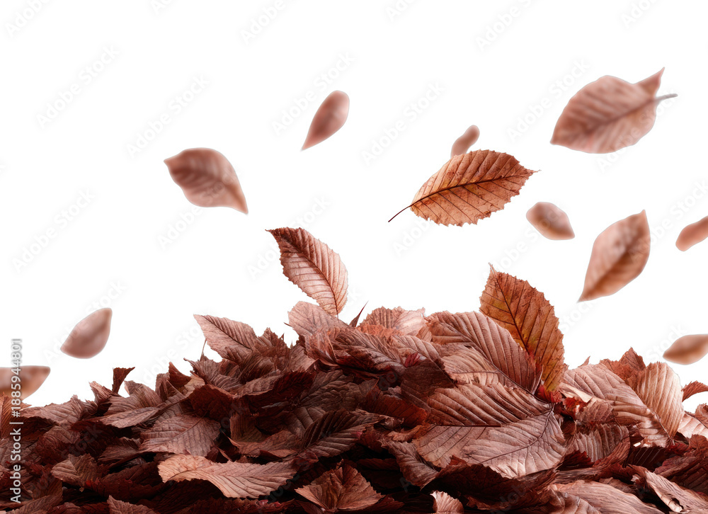 Fototapeta premium PNG Autumn leaves floating gracefully skyward.