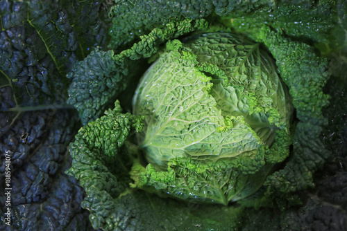 Foto berza verde coliflor encima de una mesa para vender en el mercado país vasco fer