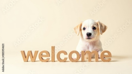 Adorable Golden Retriever puppy and welcoming text, dual-purpose pet banner. Veterinary clinic reception area and pet store front promotion
