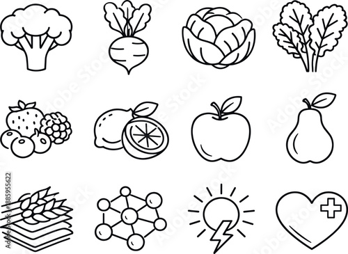Line style of Natural detox foods vector icons: broccoli, beetroot, cabbage, kale; berries, citrus, apple, pear; fiber,