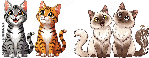 Cute cartoon cats illustration set featuring tabby kittens and fluffy siamese style cats sitting together pairs