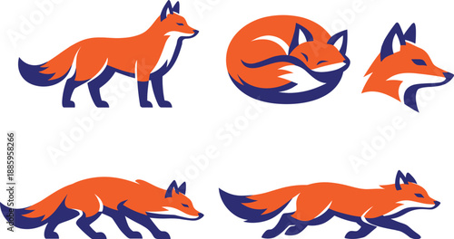 Two-Color vector icons of fox silhouettes: standing fox, curled fox, stalking fox, running fox; alert head profile, fluffy tail