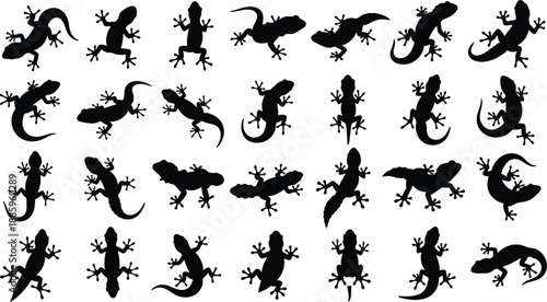 Collection of gecko lizard silhouettes in various poses, black reptile shapes isolated on white background, wildlife vector set for design, nature, pattern, and decoration use