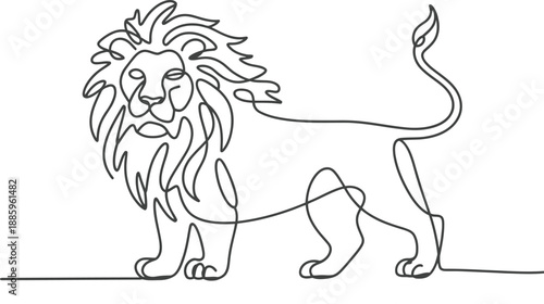 Line of a Lion with a Thick Mane line mane animal wildlife