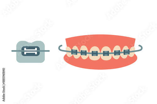 Dental Orthodontic Brackets and Teeth with Braces Illustration