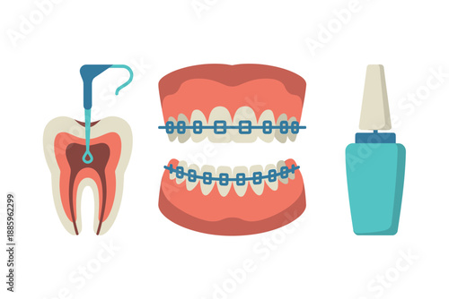 Dental Care and Orthodontic Treatment Illustration with Tooth, Braces, and Mouthwash