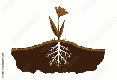 Illustration of a Vibrant Flower Blooming from Healthy Soil with Visible Root Structure on a Clear Background