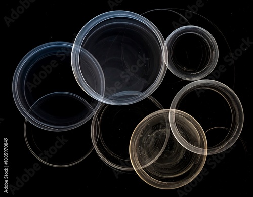 Overlapping, translucent rings float against a dark background. Varying shades and sizes create a dynamic composition