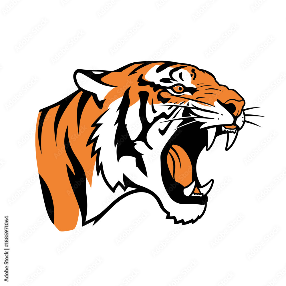Fototapeta premium Tiger head roaring with orange and black stripes on a white background.