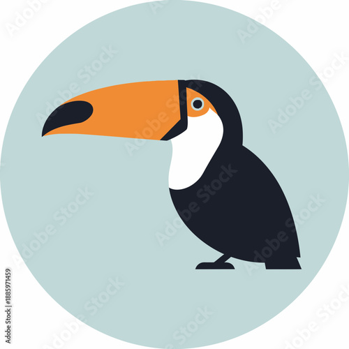 Stylized toucan illustration in a light blue circle.