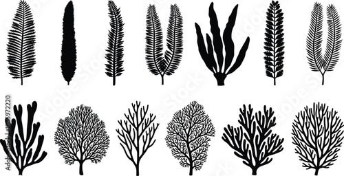 Marine plants and coral silhouettes collection featuring seaweed, algae and underwater flora shapes, black flat vector illustration set for ocean life, aquatic design, biology graphics