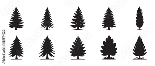 Group of ten dark evergreen and conifer tree shapes representing pine fir spruce and cypress