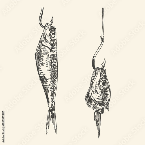 Hand-drawn sketch of two fish hanging from fishing hooks, representing a catch or bait, with a vintage, artistic feel.
