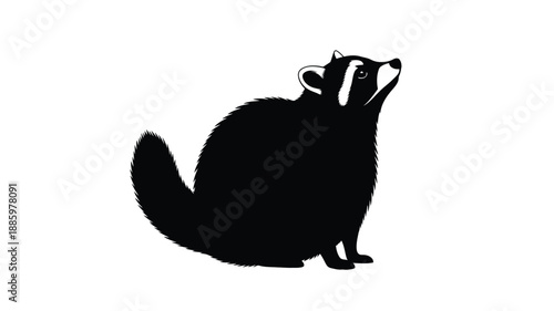 a striking black raccoon silhouette against a clean white background