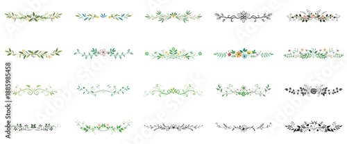 Botanical Floral Divider Set with Green Leaves and Decorative Lines