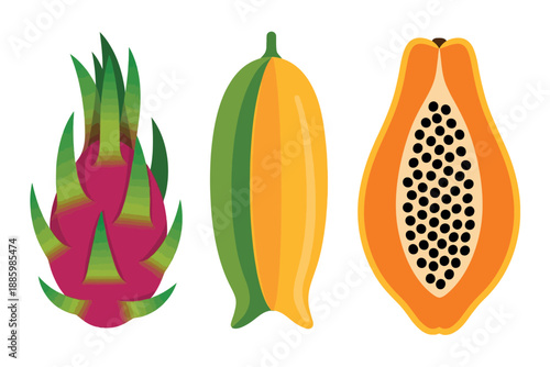 Colorful illustration of exotic fruits, dragon fruit, banana, and papaya on white background