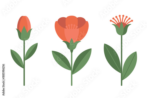 Colorful illustration of three orange flowers with green leaves on white background
