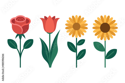 Colorful illustration of four flowers, rose, tulip, and two sunflowers on white background