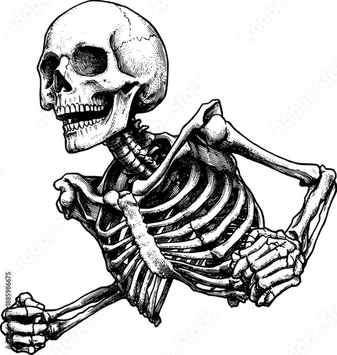 Hand drawn sketch of a human skeleton running, vintage engraving style illustration isolated on white background.
