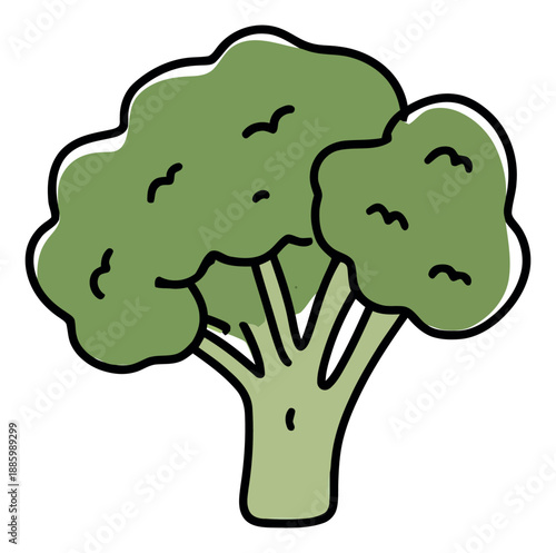 Hand drawn line art illustration of broccoli depicting a fresh vegetable for healthy eating concepts