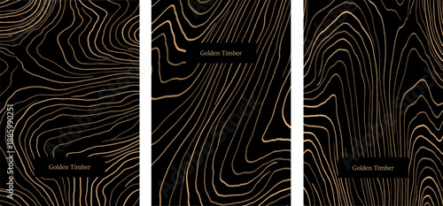  Luxury tree bark background.