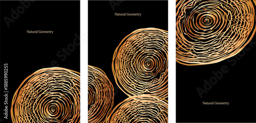  Elegant wood texture with golden rings and organic patterns. 