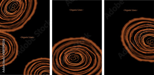  Elegant wood texture with golden rings and organic patterns. 