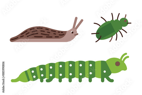 Colorful Cartoon Insects and Snail Illustration