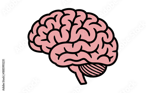 A pink cartoon brain illustration with black outline on a white background