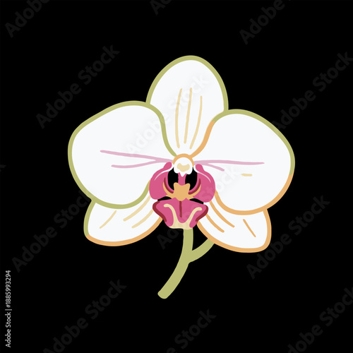 Stylized white Phalaenopsis orchid with soft pink and yellow details, flat graphic style, shown on a black background. Concept of floral elegance and simplicity