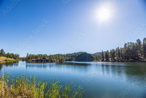 Slika na platnu Beautiful views of Legion Lake from Legion Lake Trail at Custer State Park in South Dakota
