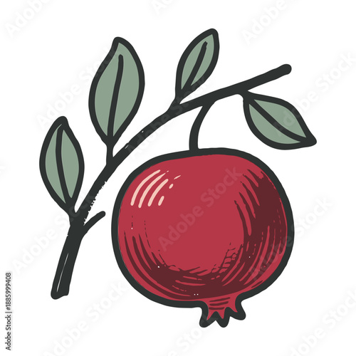 Pomegranate fruit with green leaves on branch, hand-drawn style, white background, concept of natural produce and healthy food