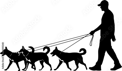 Male dog walker sitter walking with group of pets silhouette vector graphic. Transparent background EPS version.
