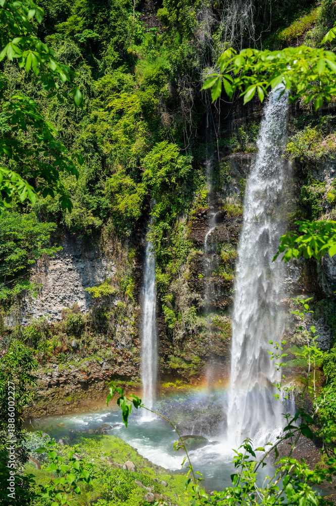 Obraz premium waterfall in the forest