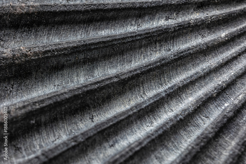 Macro of Great Scallop Pecten maximus fossil shell texture. Detailed ribbed structure of ancient mollusk shell as abstract natural background. Organic pattern with deep ridges and rough surface.